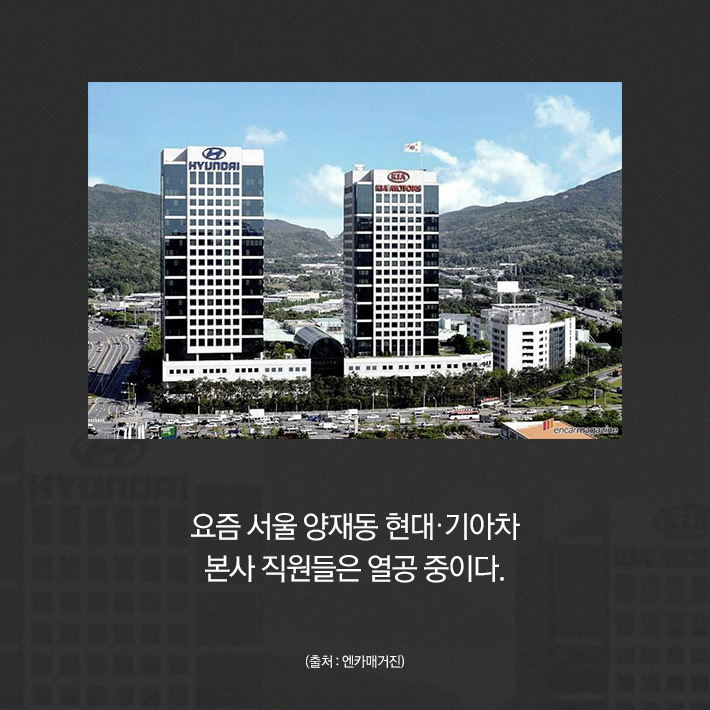 카드뉴스1