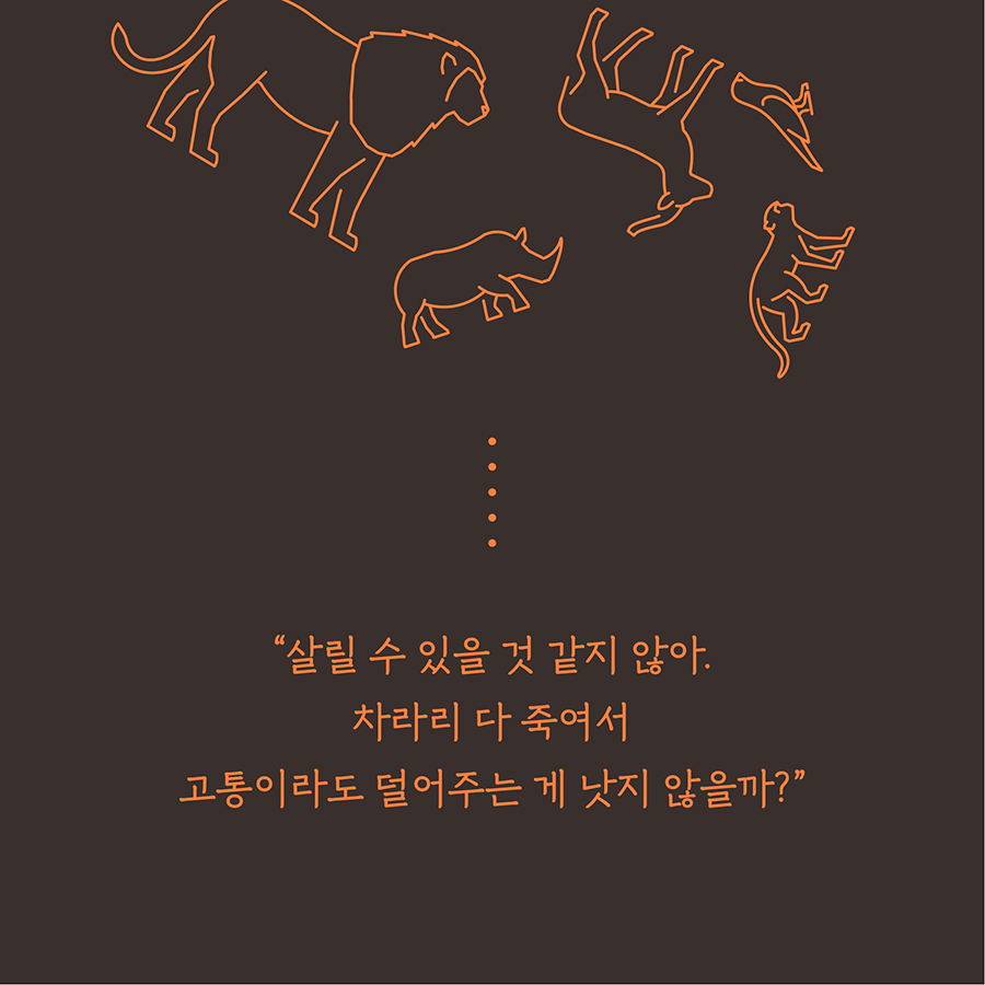 카드뉴스4