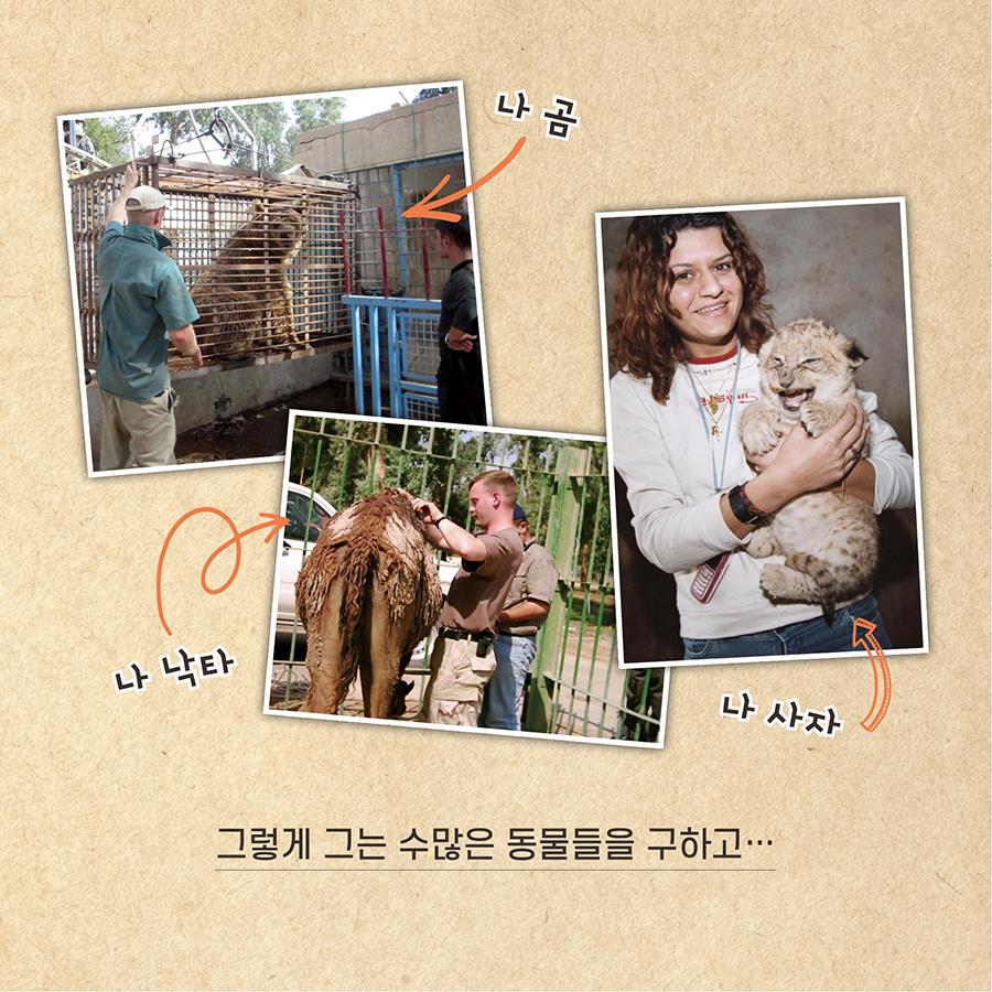 카드뉴스6