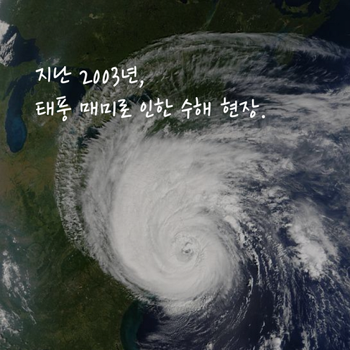 카드뉴스1