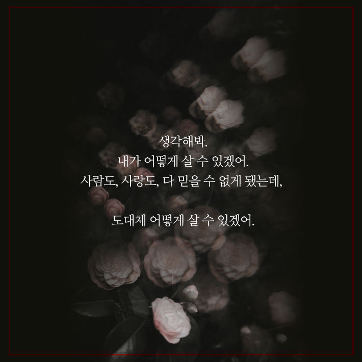 카드뉴스3