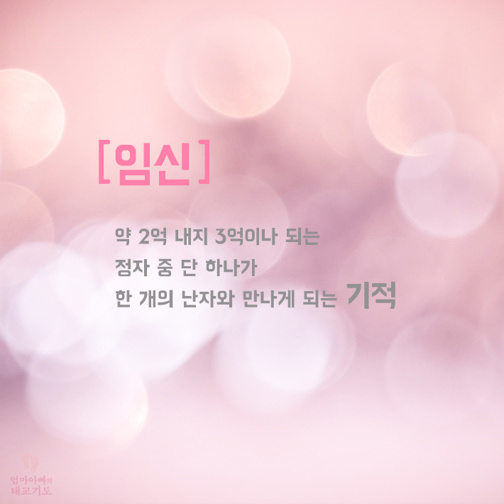 카드뉴스0