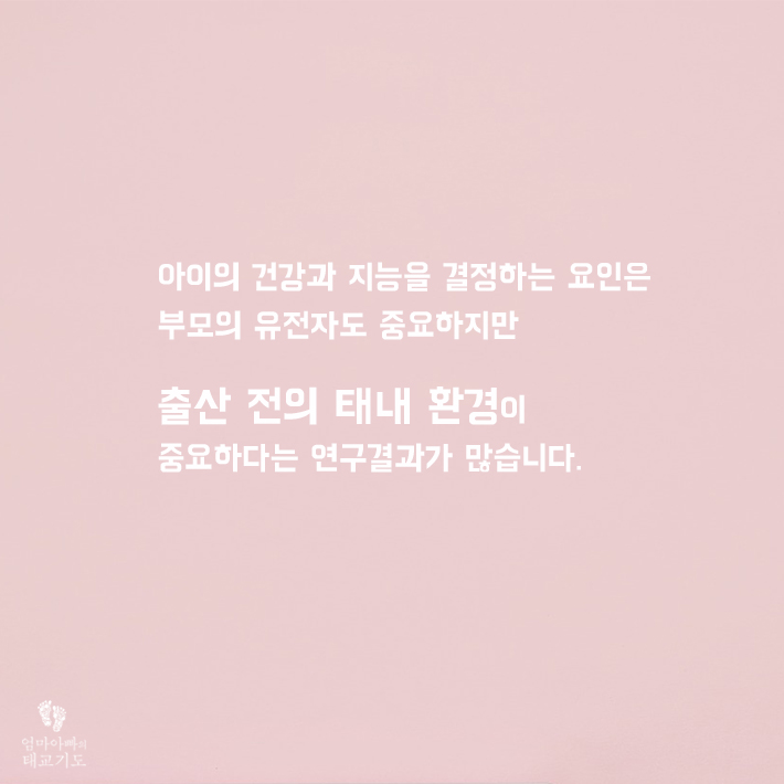 카드뉴스3