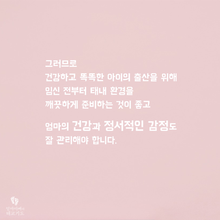 카드뉴스4