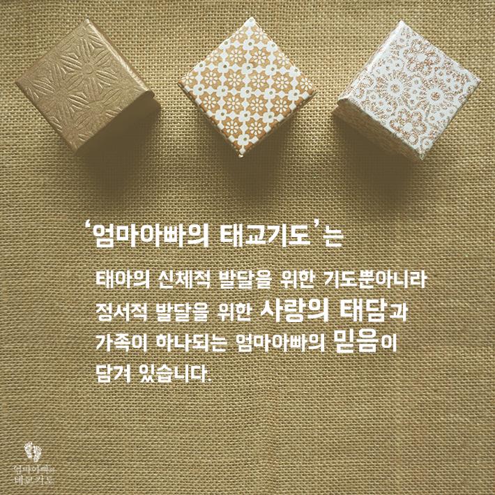 카드뉴스6