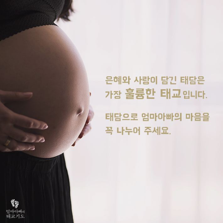 카드뉴스7