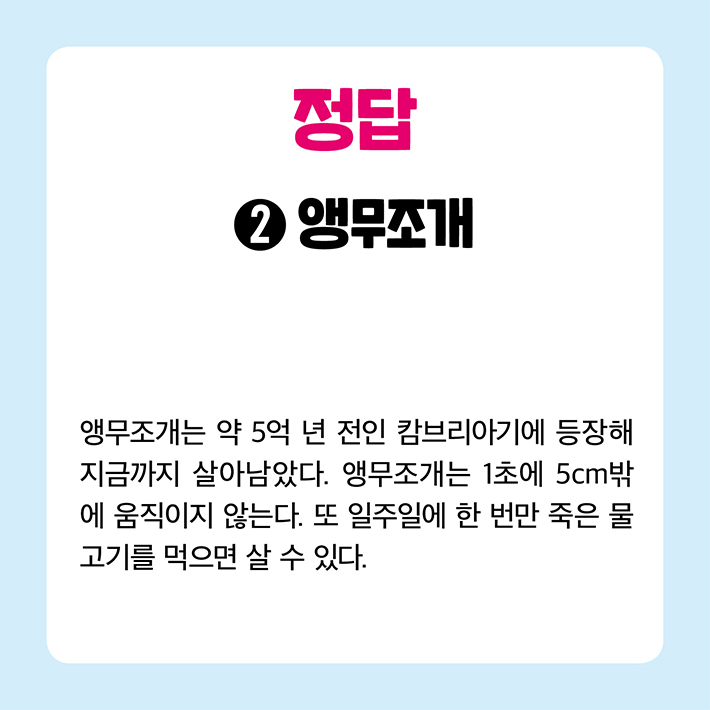 카드뉴스4