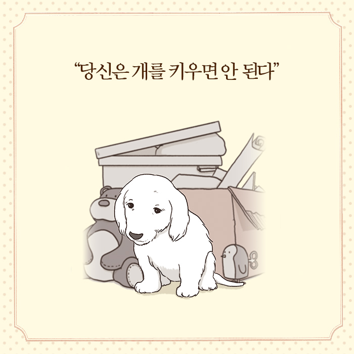 카드뉴스0