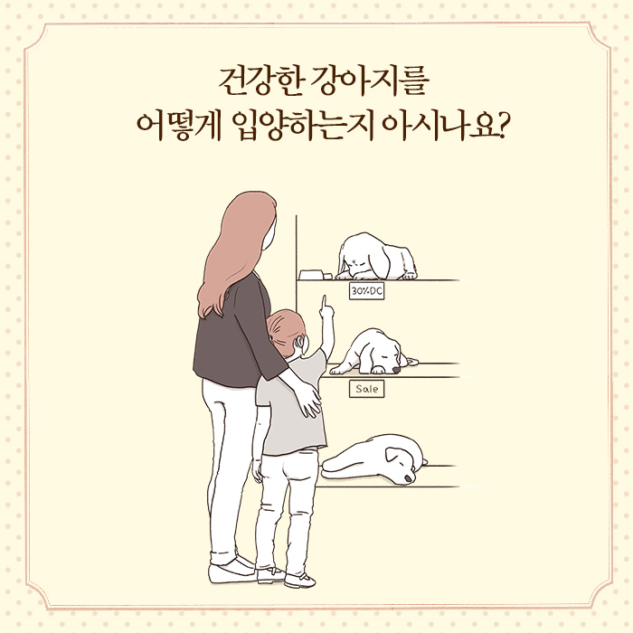 카드뉴스3