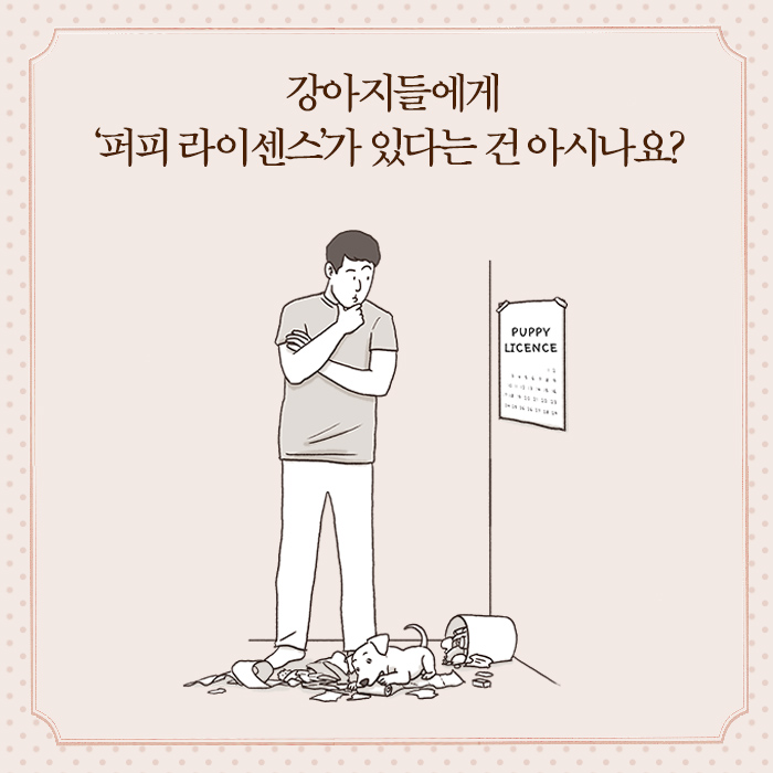 카드뉴스4