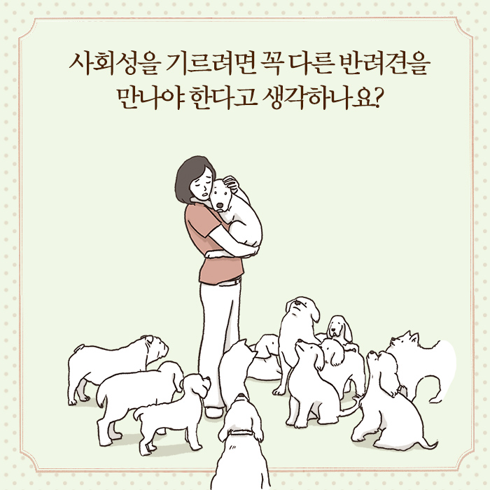 카드뉴스5