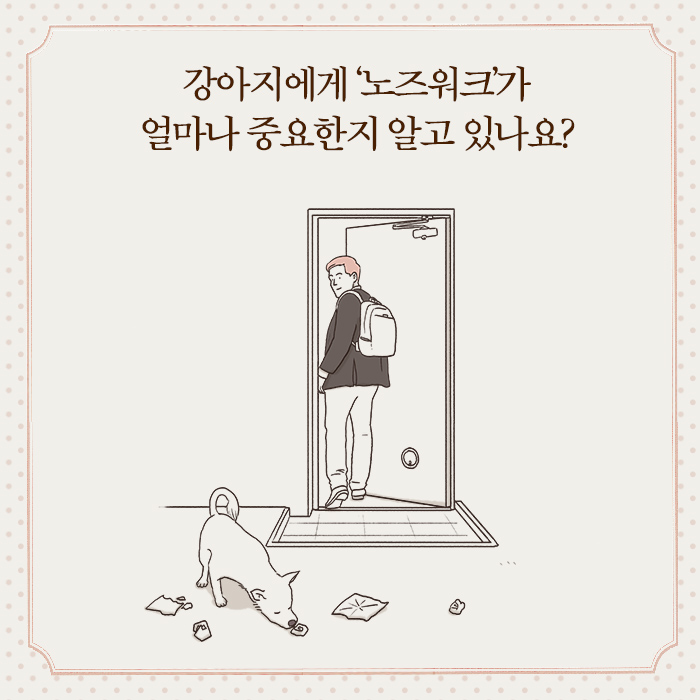 카드뉴스6
