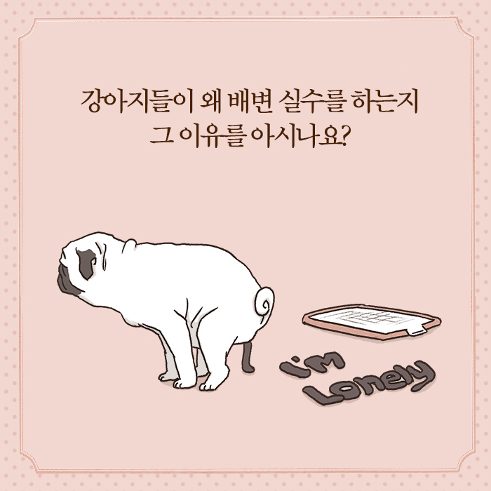 카드뉴스7