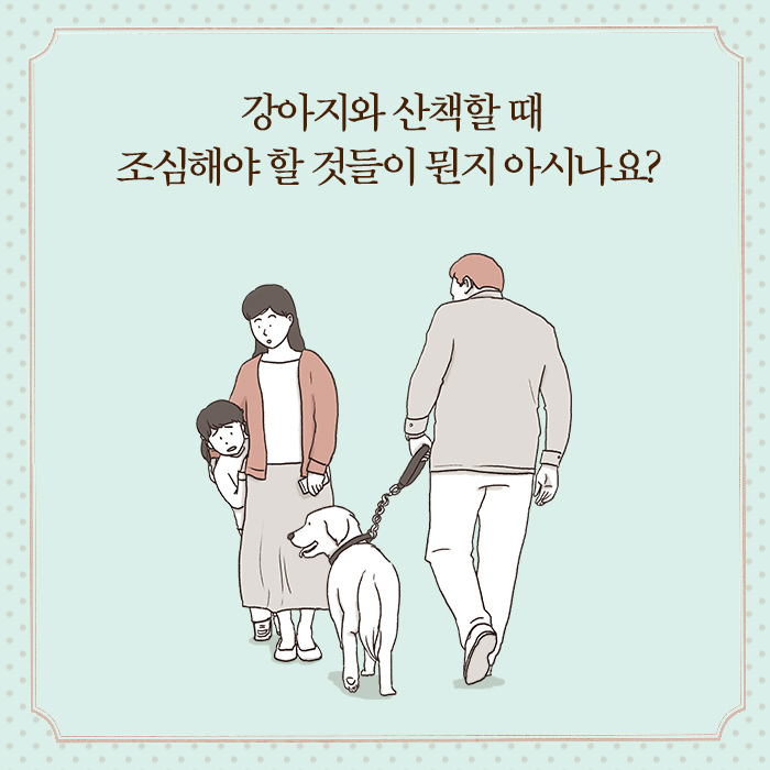 카드뉴스8