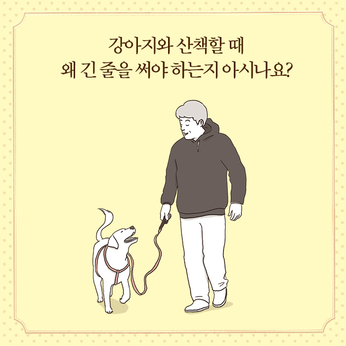 카드뉴스9