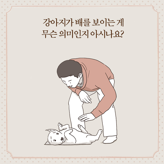 카드뉴스10