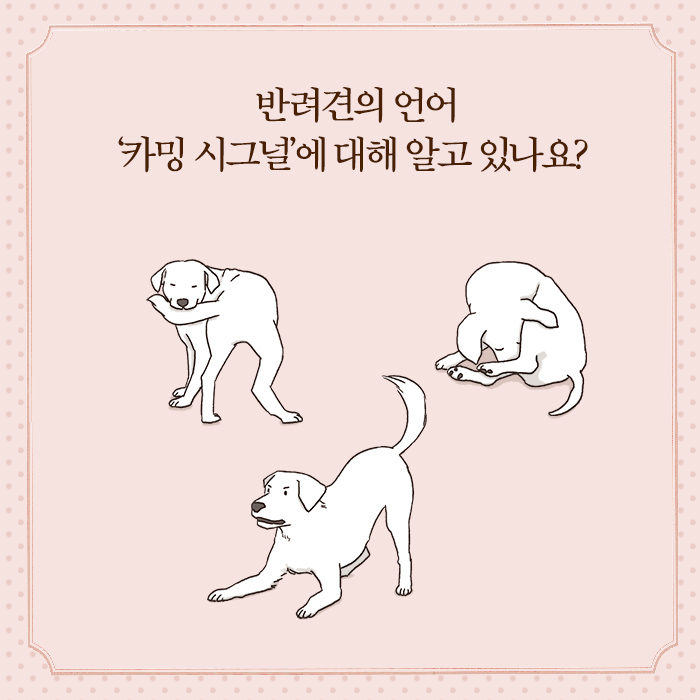 카드뉴스11