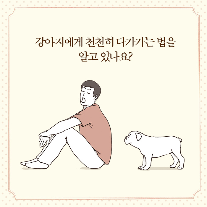 카드뉴스13