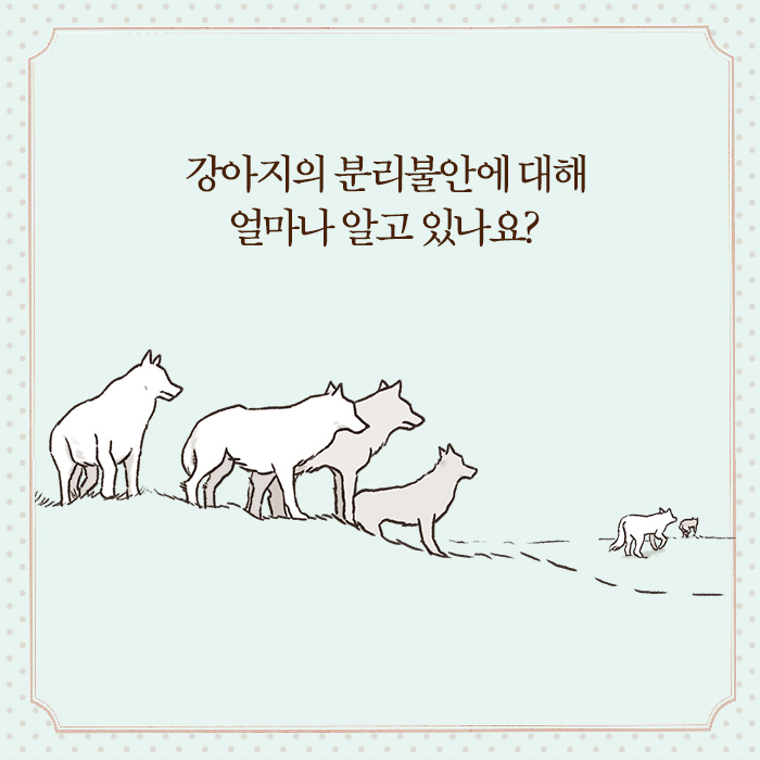 카드뉴스14