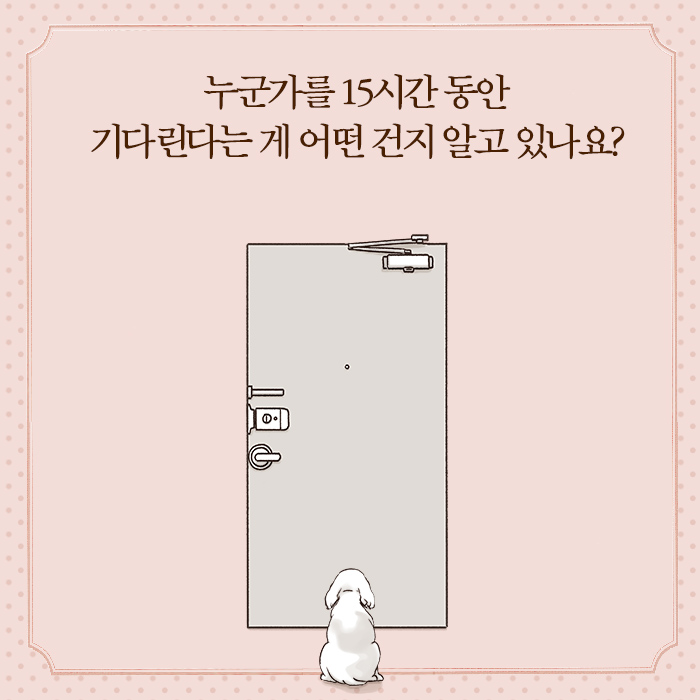 카드뉴스15