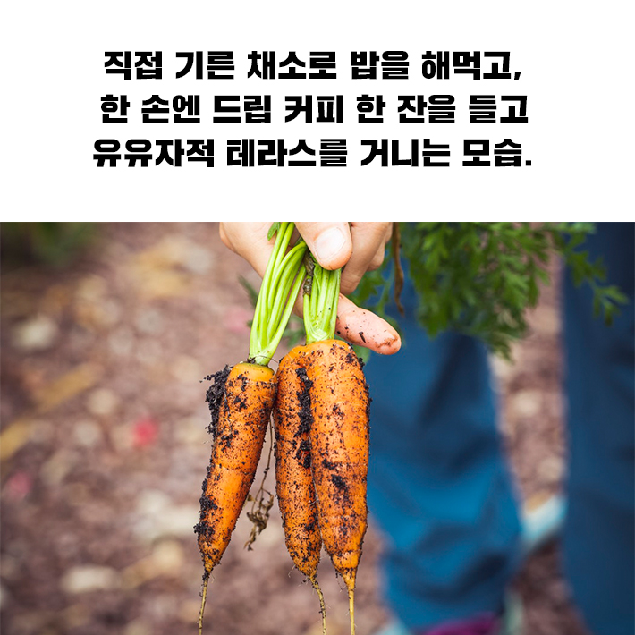 카드뉴스2