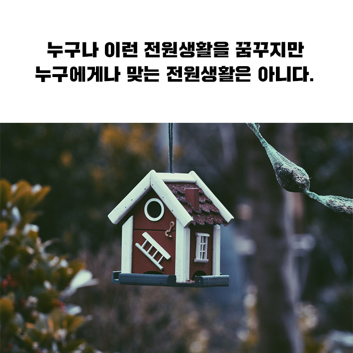 카드뉴스3