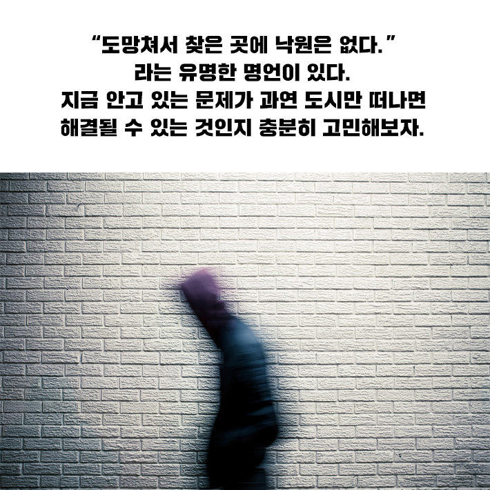 카드뉴스6