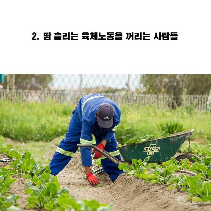 카드뉴스7