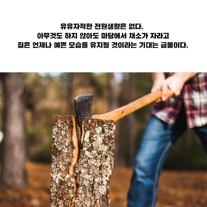 카드뉴스8
