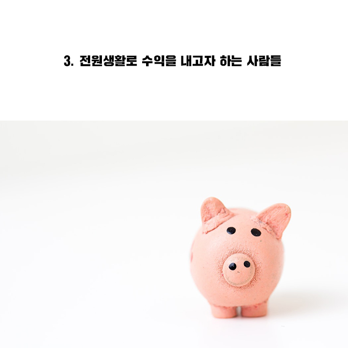 카드뉴스9