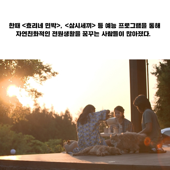 카드뉴스12
