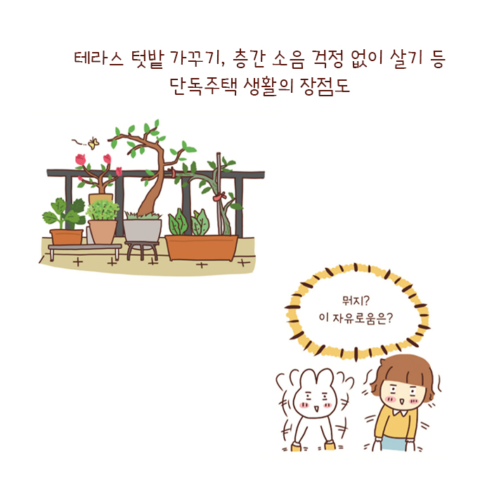 카드뉴스6