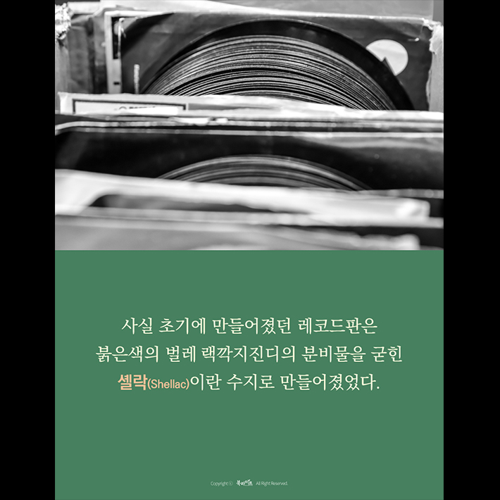 카드뉴스5