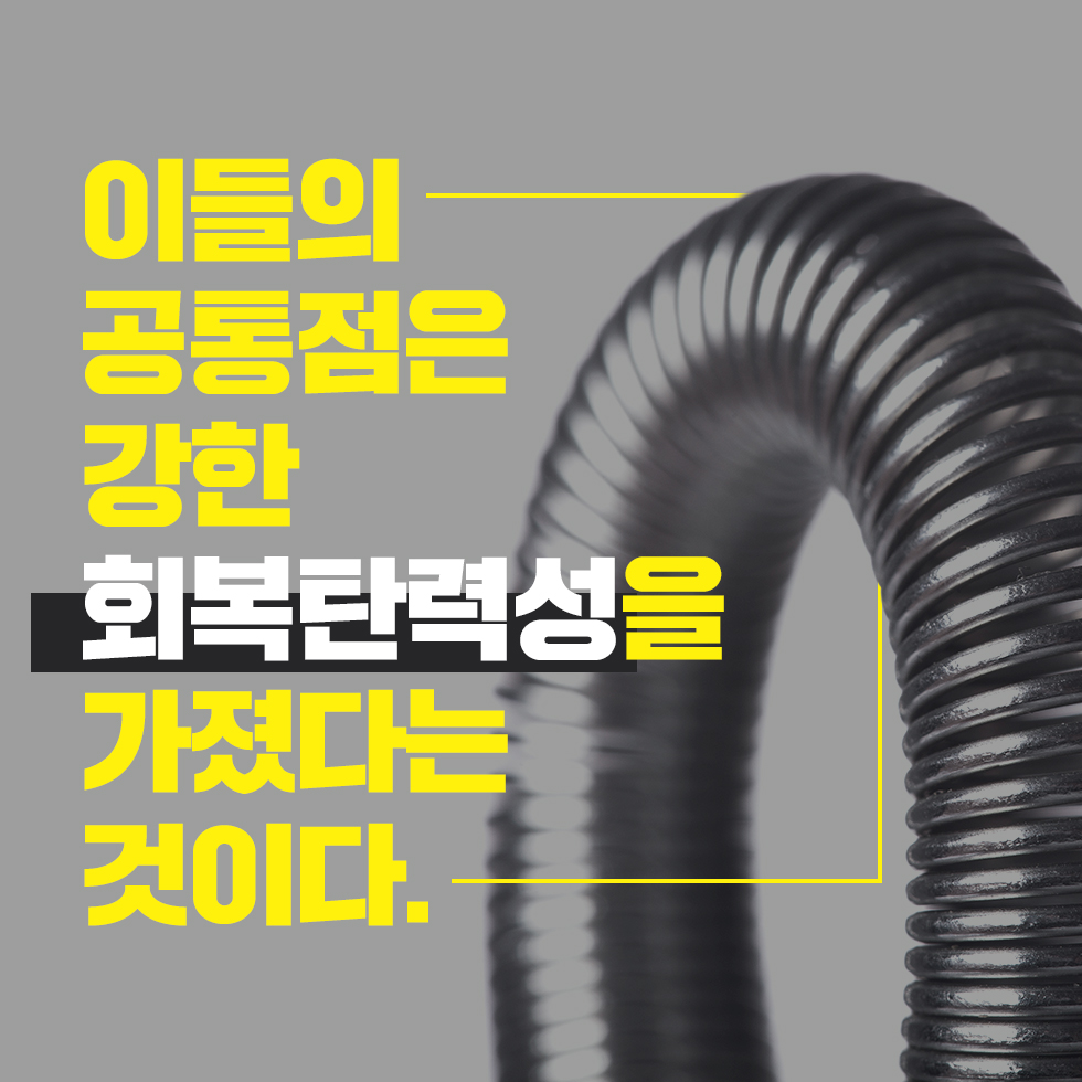카드뉴스6