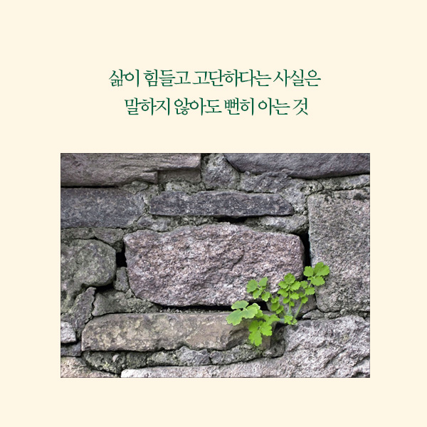카드뉴스17