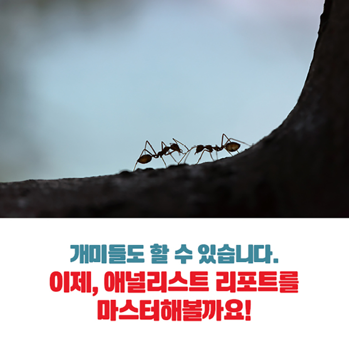 카드뉴스13