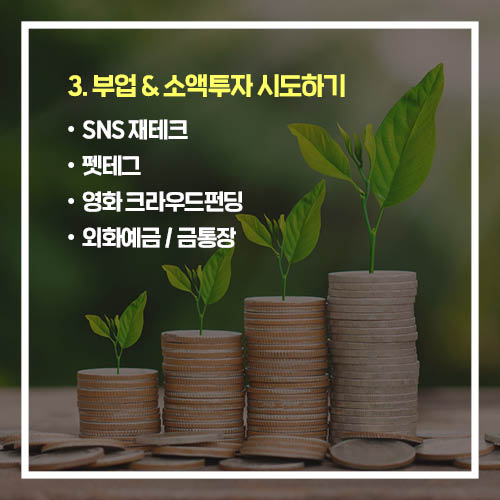 카드뉴스7