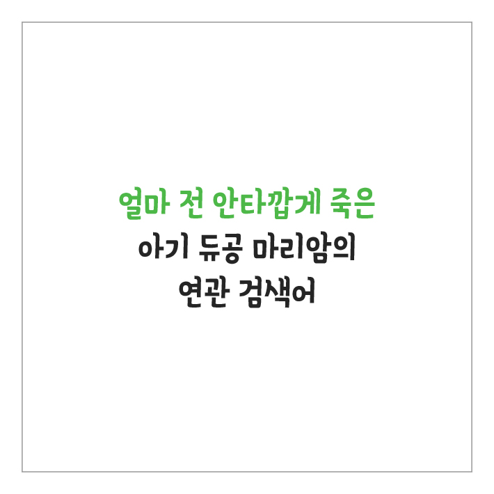 카드뉴스1