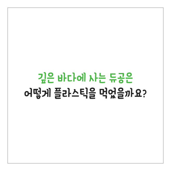 카드뉴스5