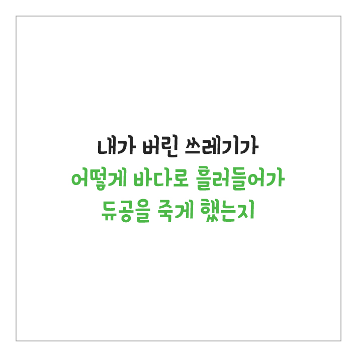 카드뉴스13