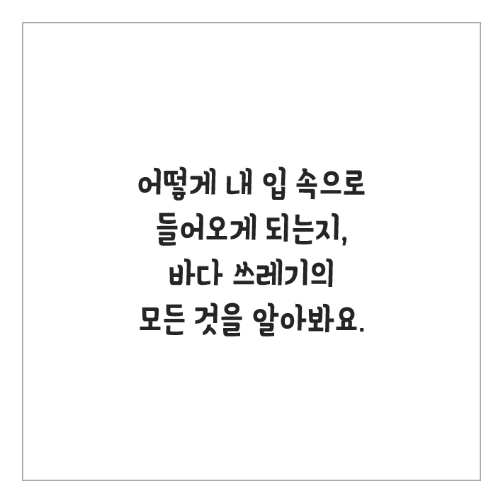 카드뉴스15