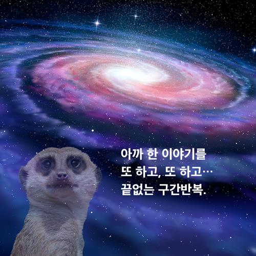 카드뉴스1