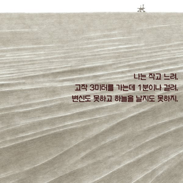 카드뉴스1