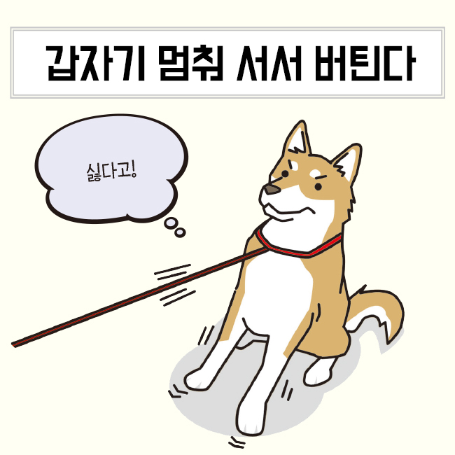 카드뉴스1