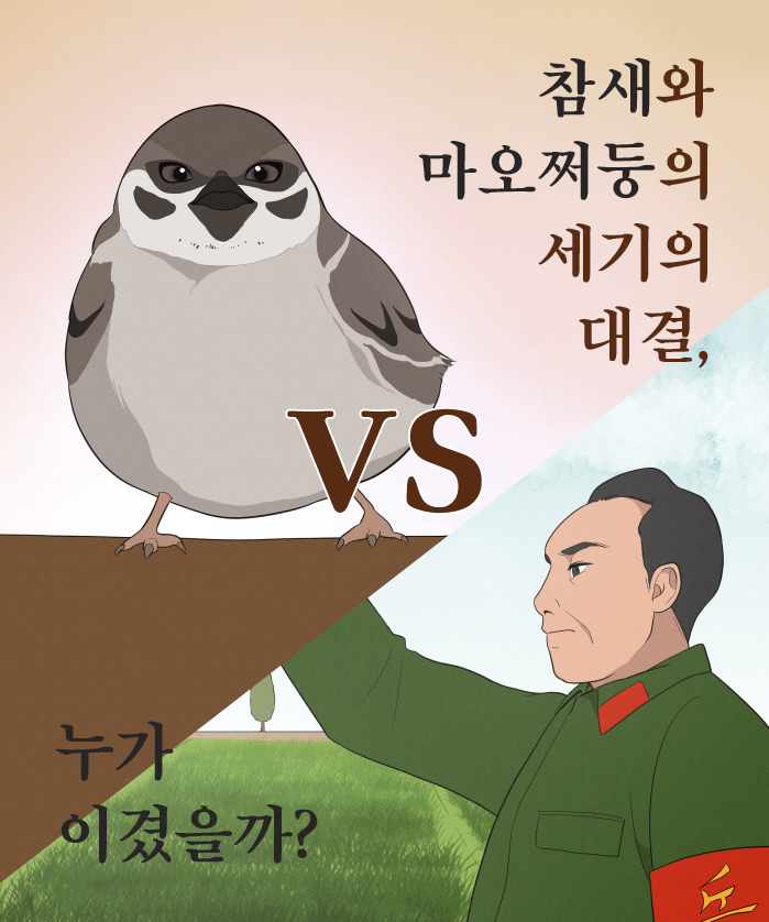 카드뉴스0
