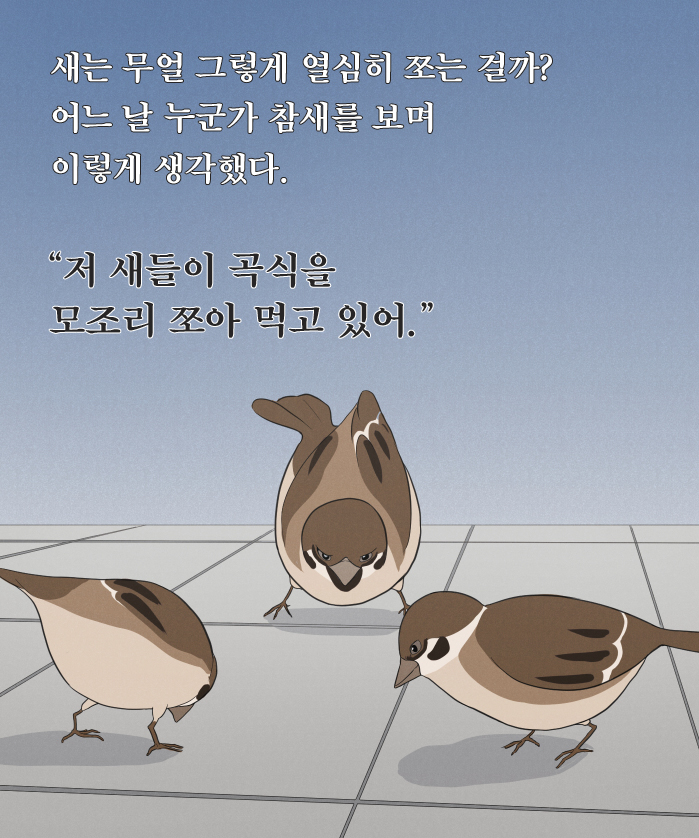 카드뉴스2