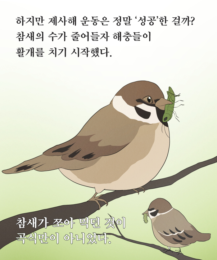 카드뉴스6