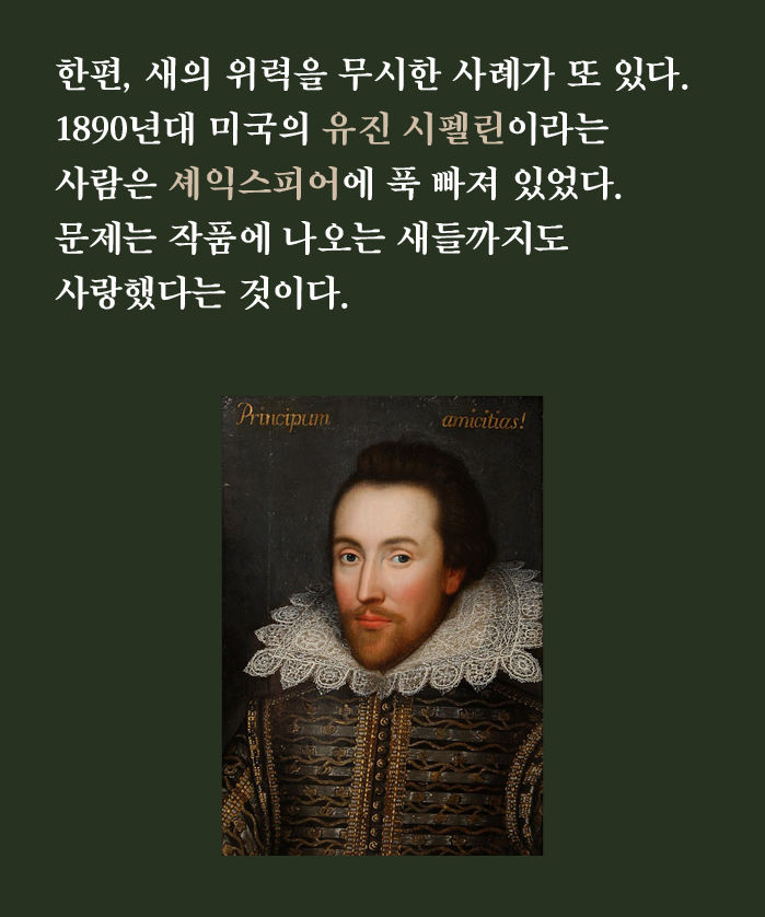 카드뉴스9