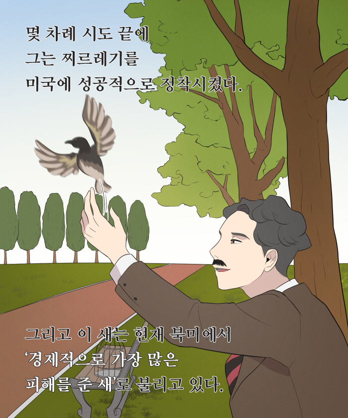 카드뉴스11
