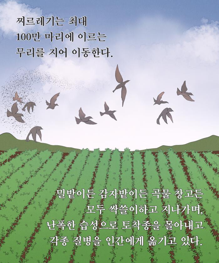 카드뉴스12